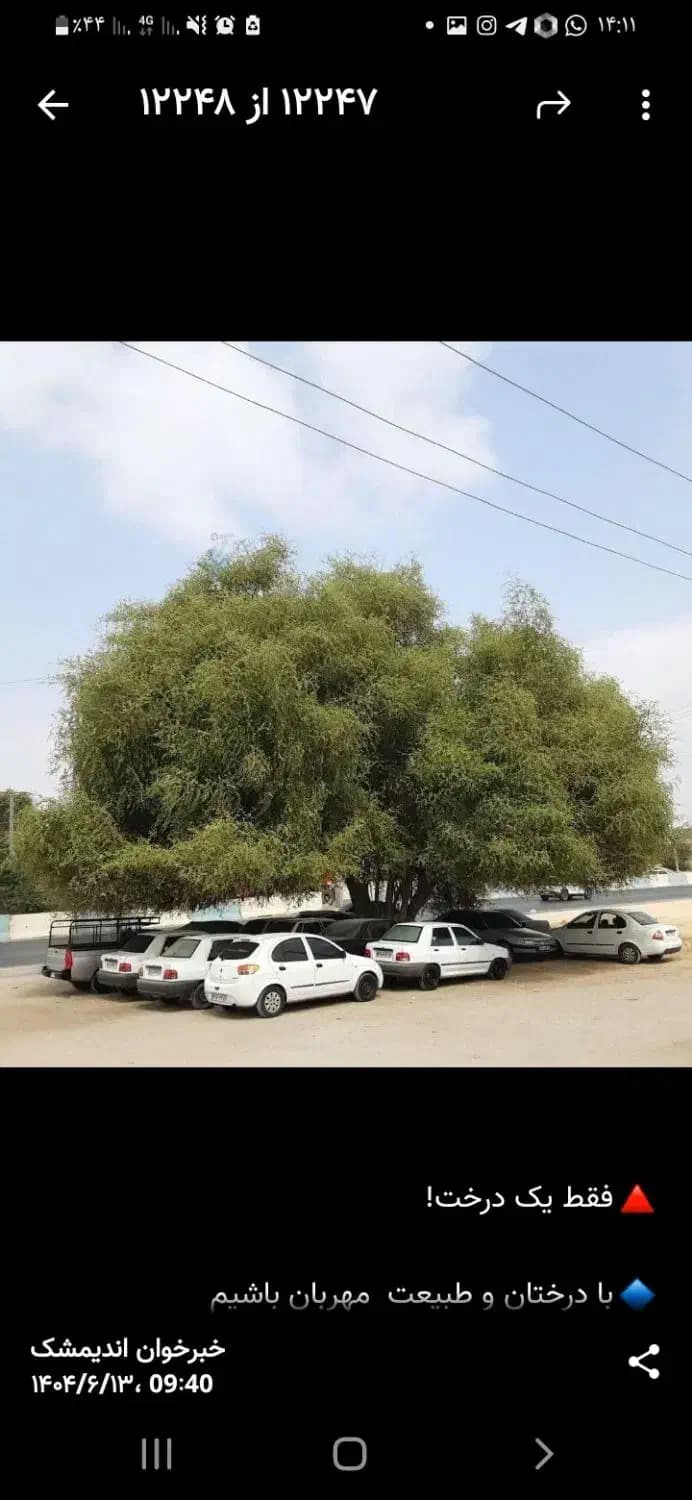 زمین اجاره ای