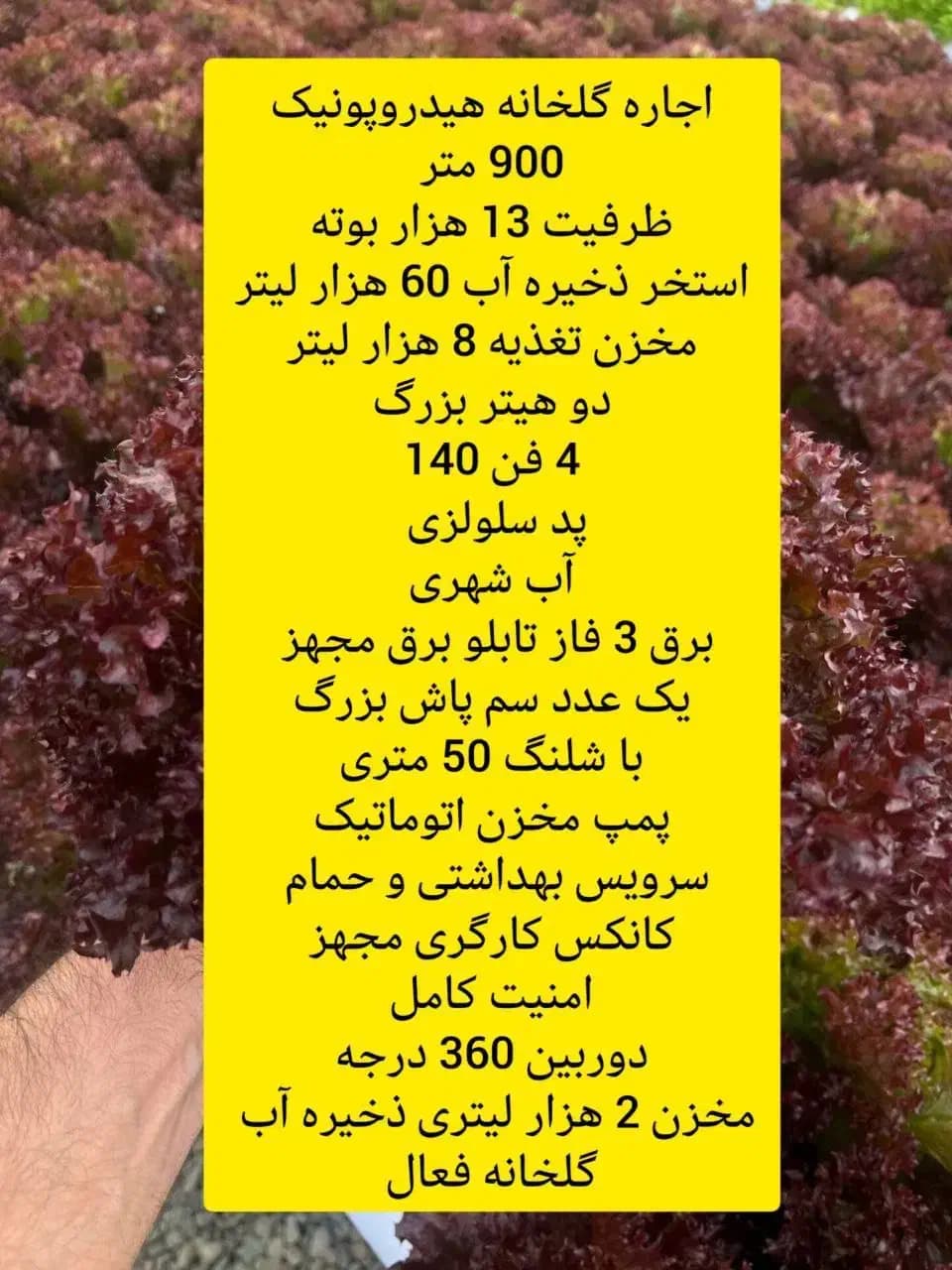 اجاره گلخانه هیدروپنیک